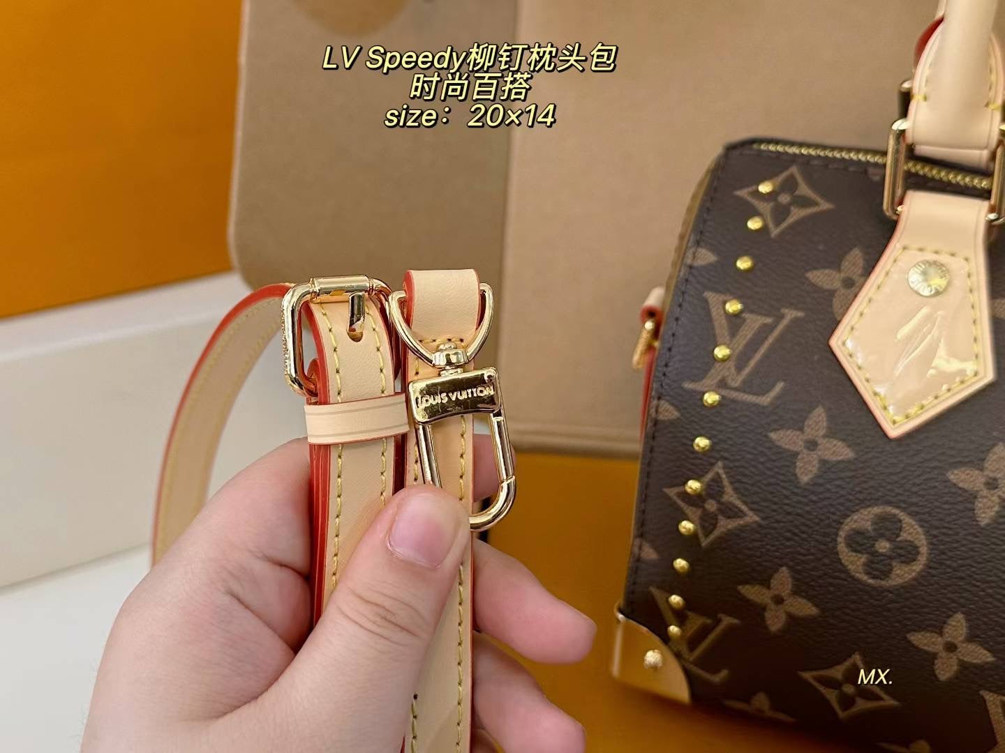 LV 25ss Speedy Studded Pillow Bag