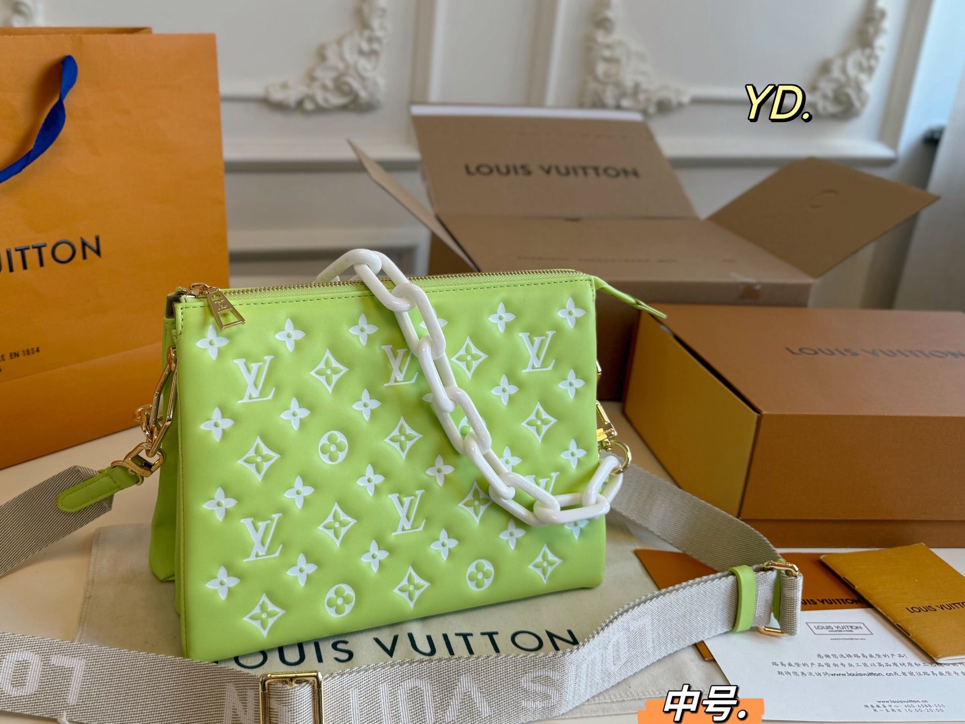 LV Coussin Handbag Pillow Bag