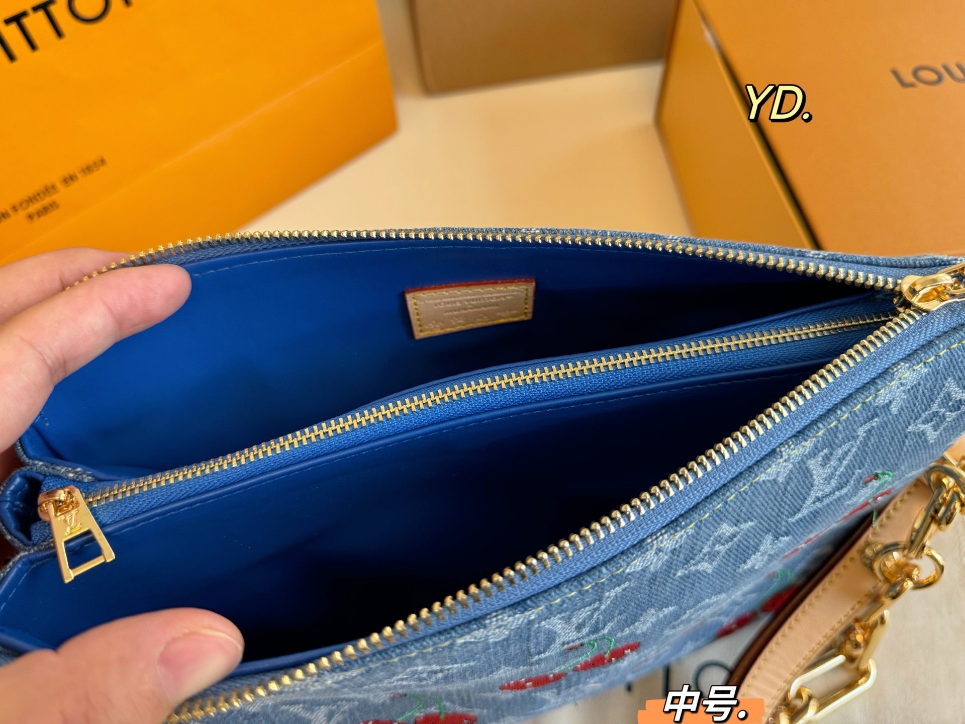 LV Coussin Handbag Pillow Bag