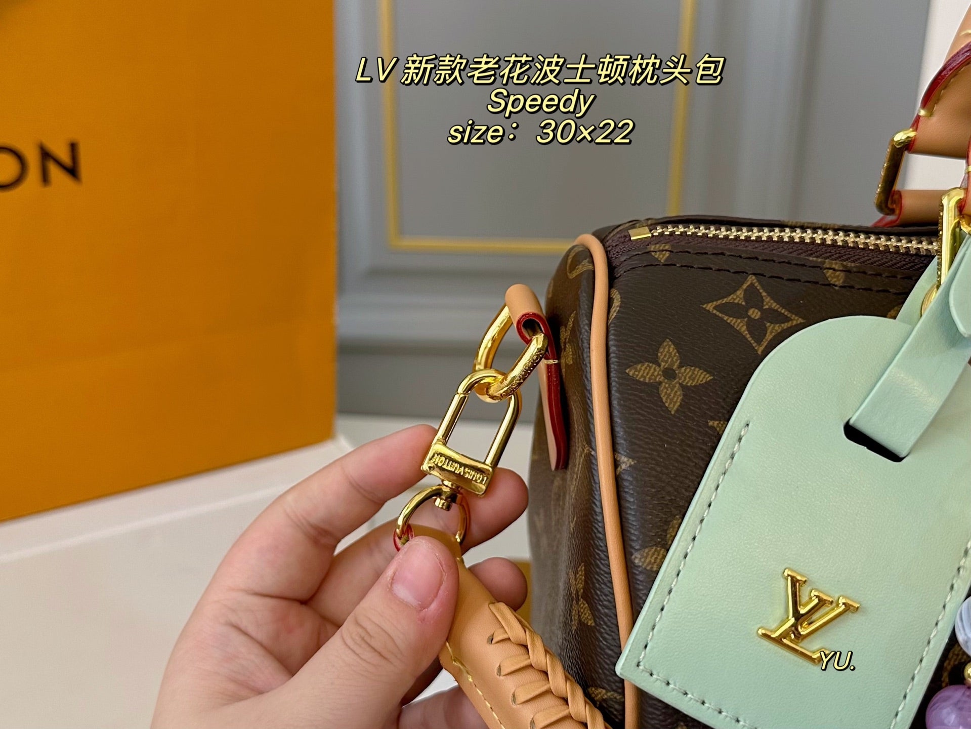LV Speedy Boston Pillow Bag