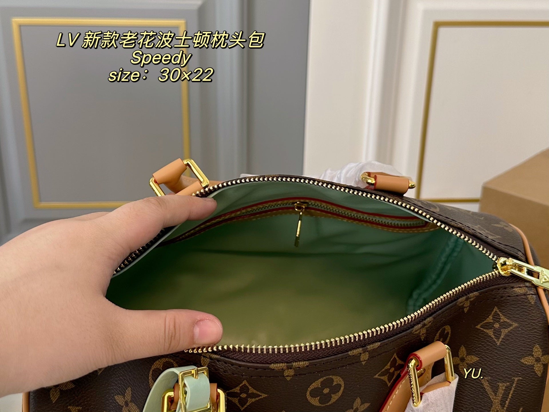 LV Speedy Boston Pillow Bag