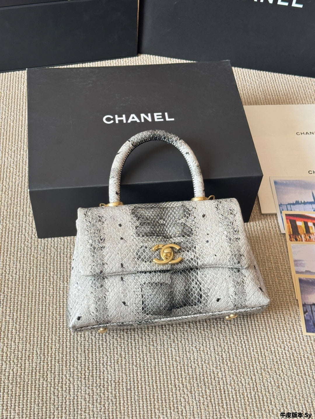 CHANEL Coco Handle