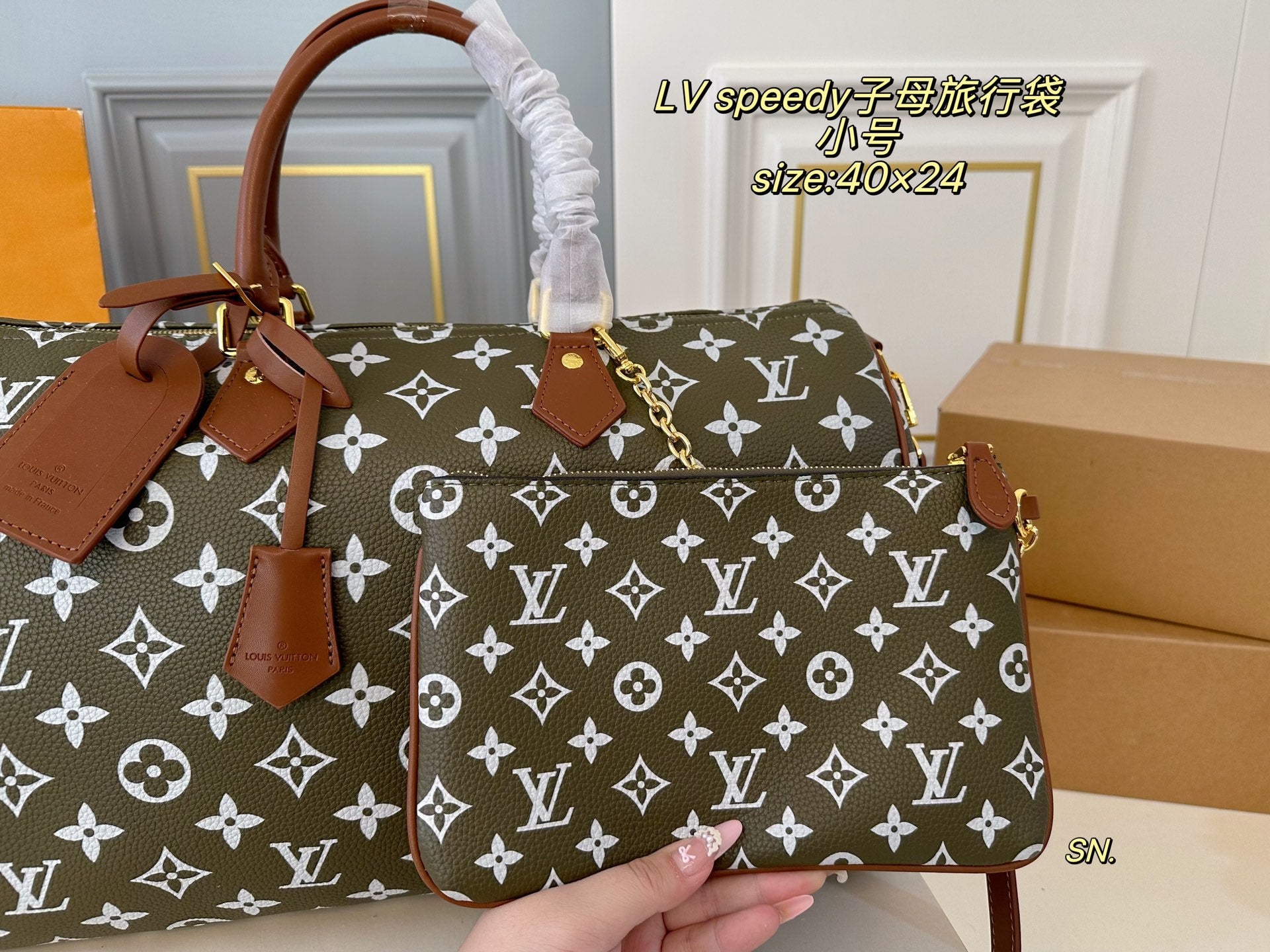 LV speedy Travel Bag