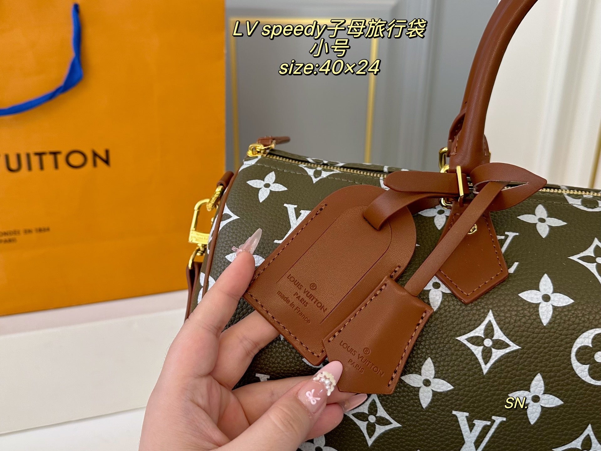 LV speedy Travel Bag