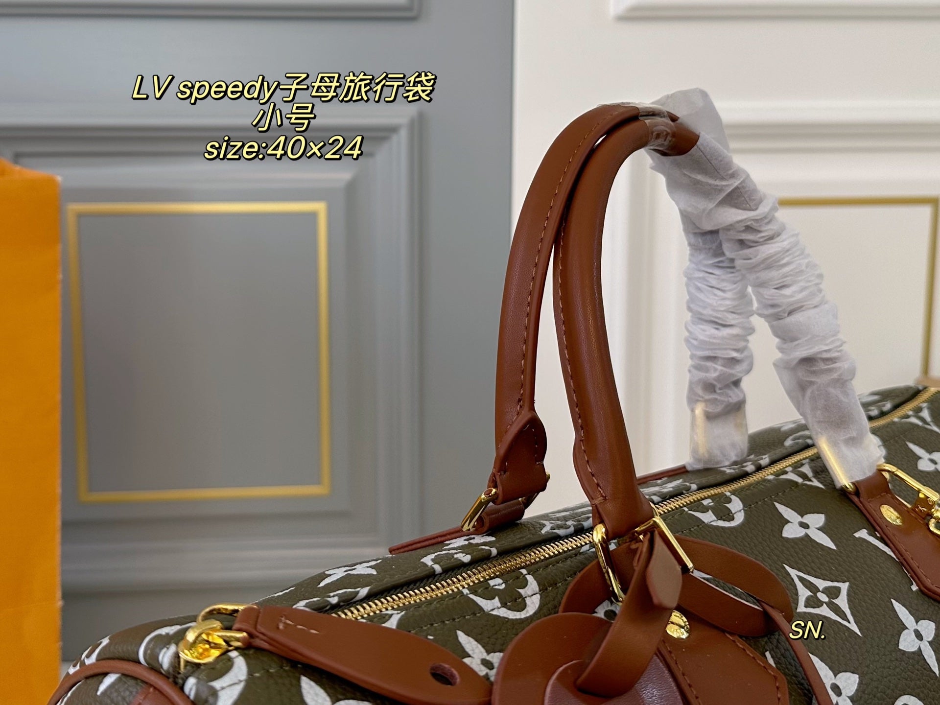 LV speedy Travel Bag
