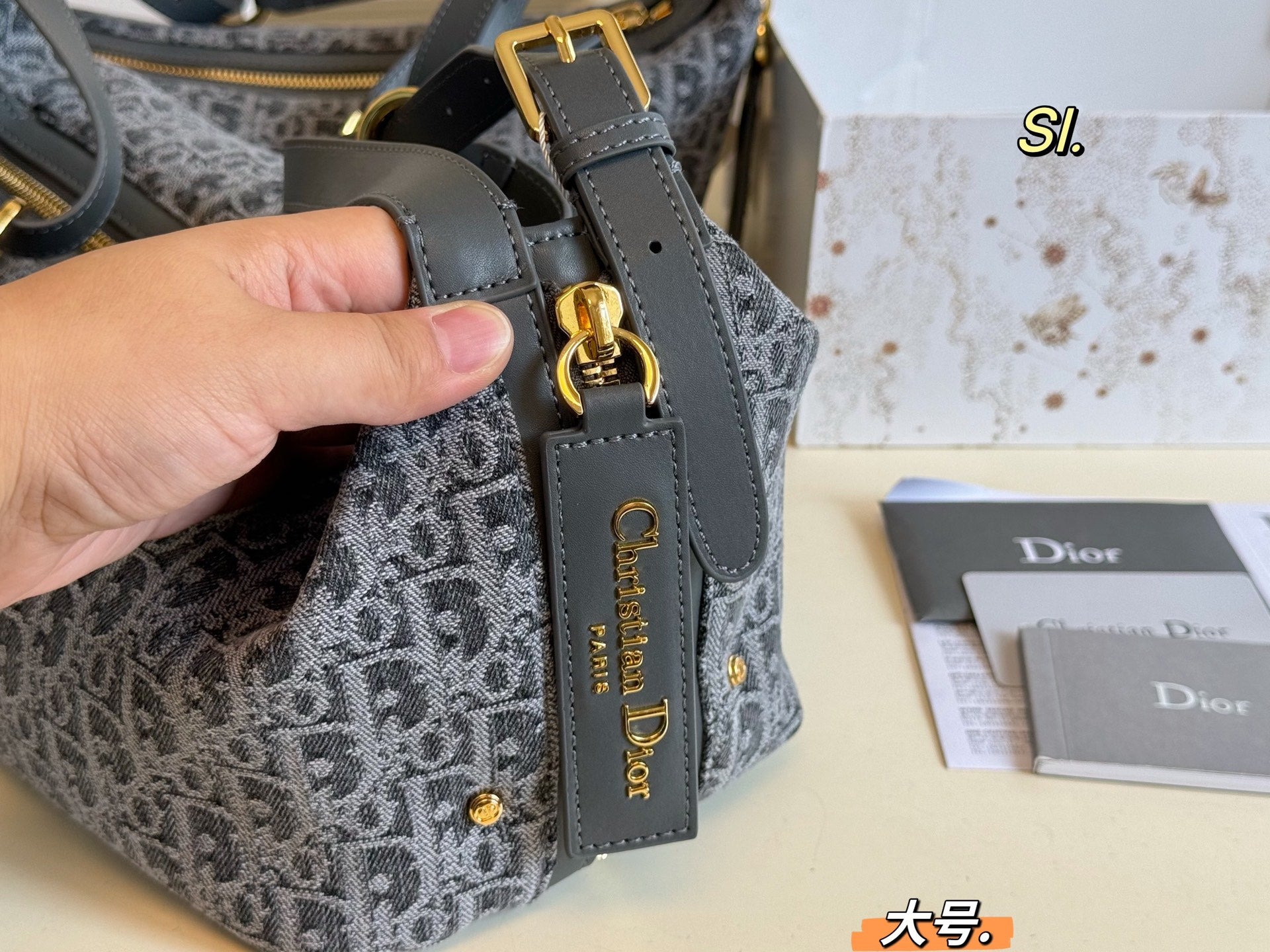 DIOR Journey Bag