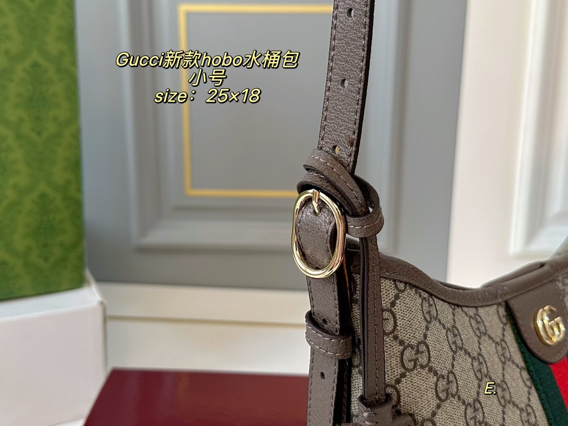 Gucci Hopo Bucket Bag