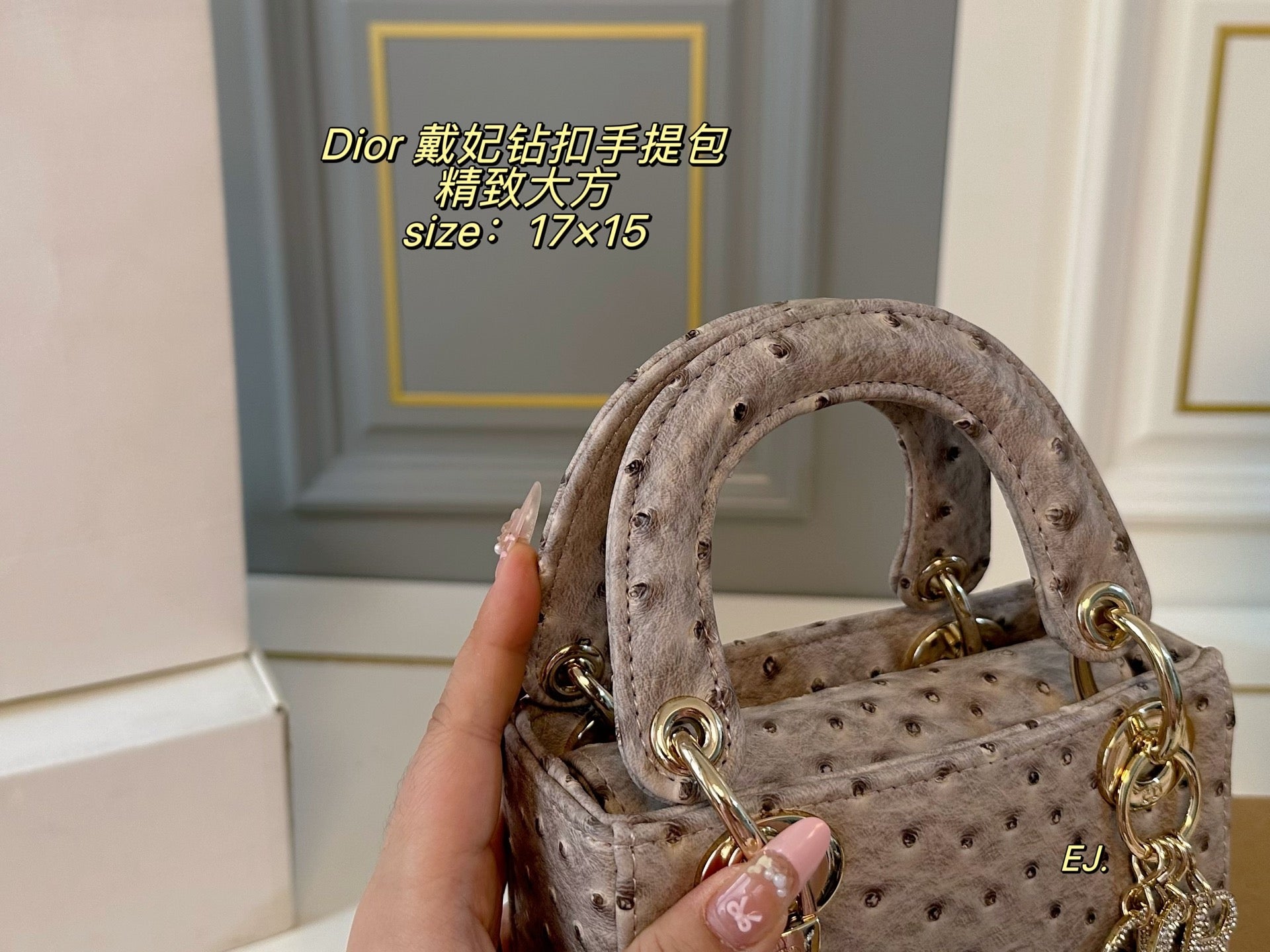 Lady Dior Handbag
