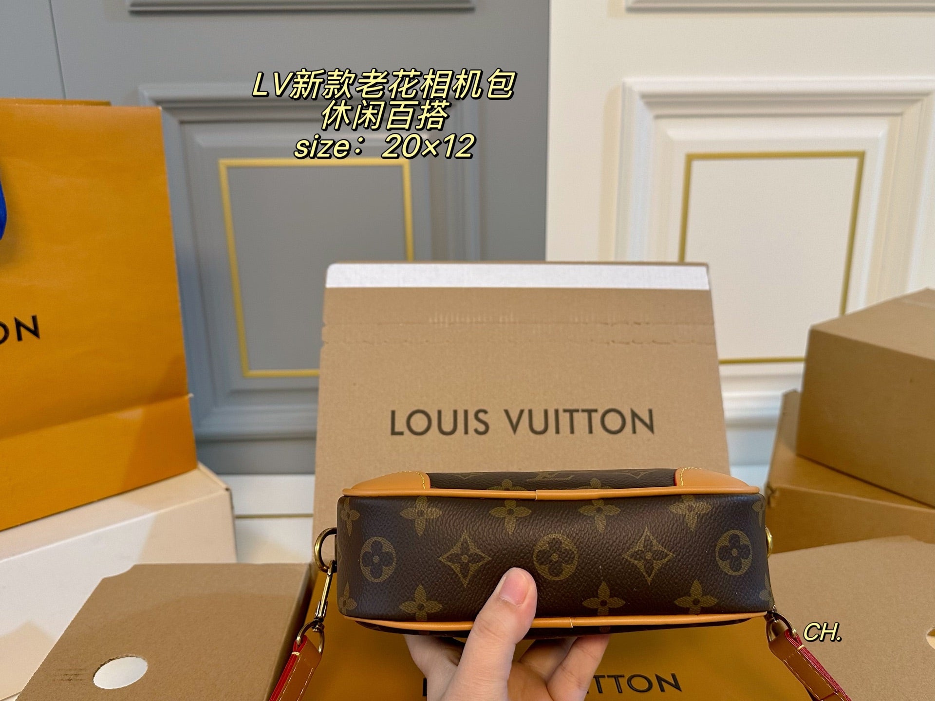 LV Neo Alpha Camera Bag