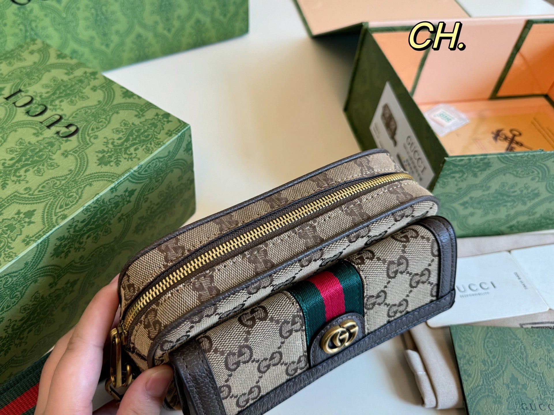 Gucci Ophidia Camera Bag
