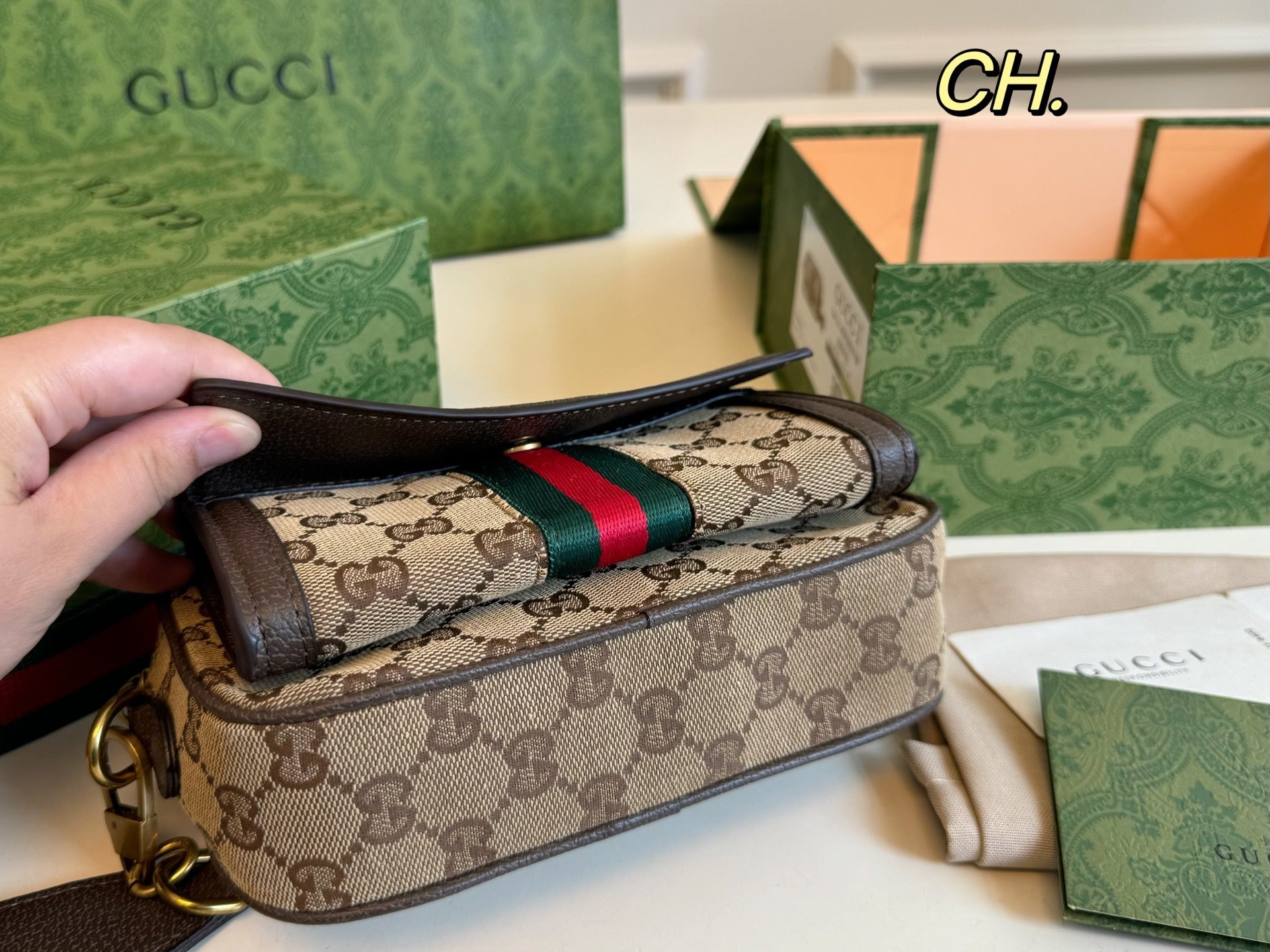 Gucci Ophidia Camera Bag