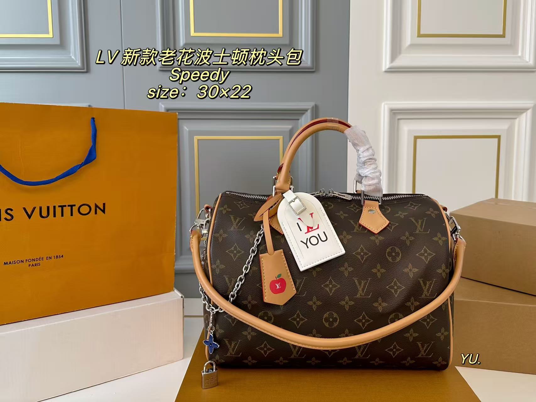 LV Speedy Boston Pillow Bag