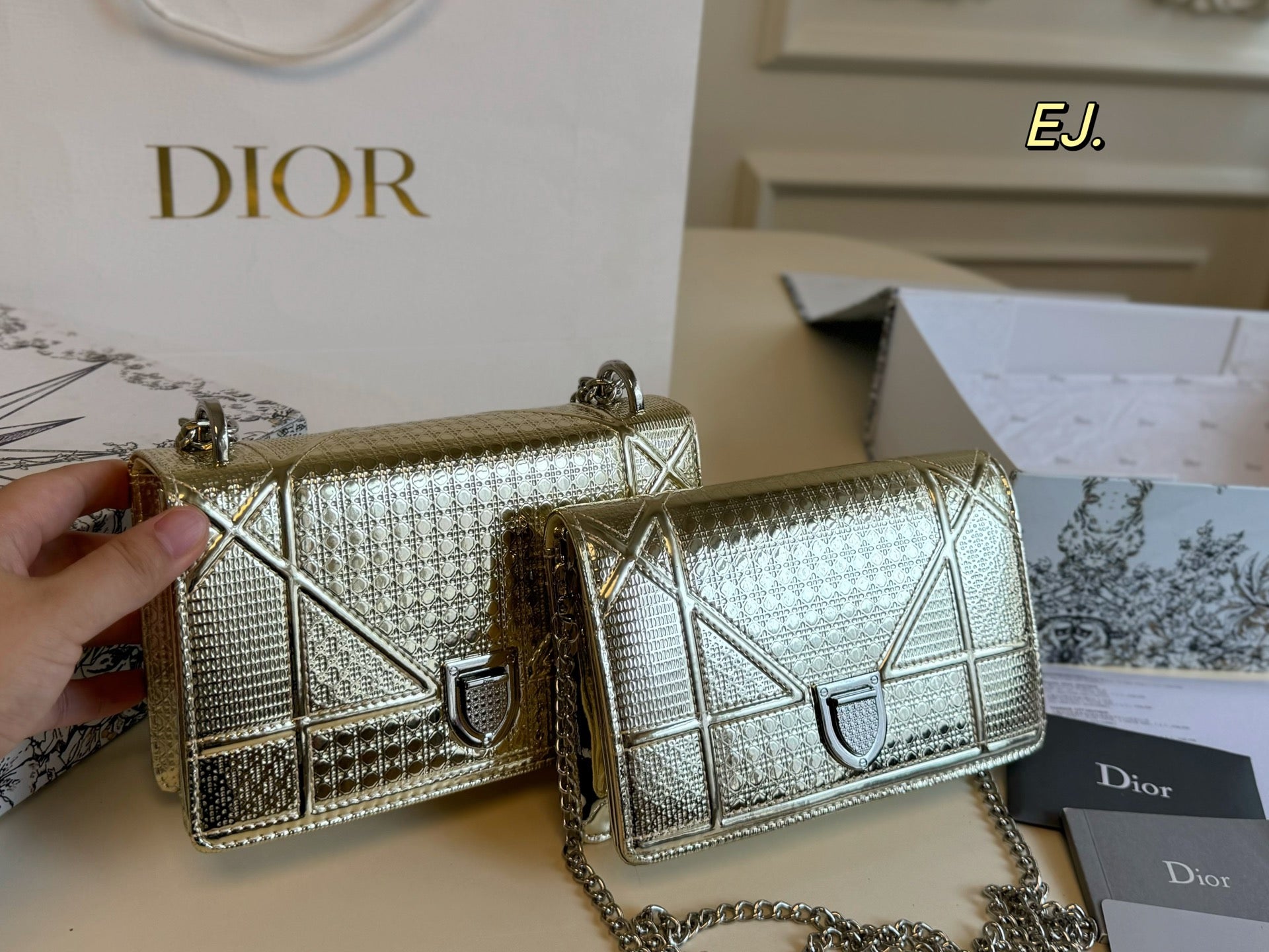 Dior AWA Shield Chain Bag