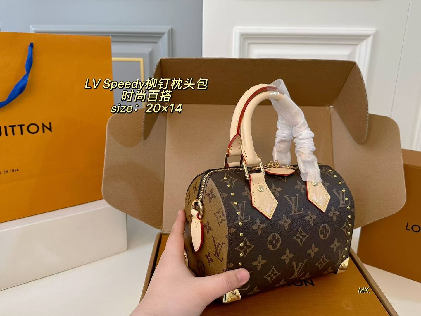LV 25ss Speedy Studded Pillow Bag