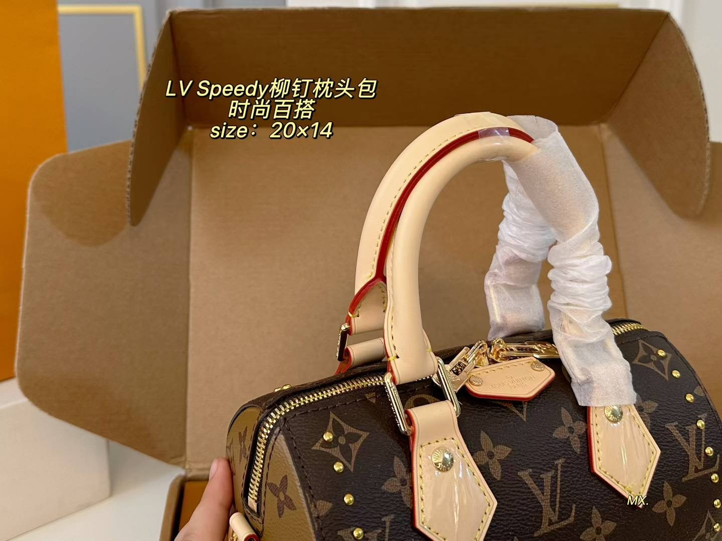 LV 25ss Speedy Studded Pillow Bag