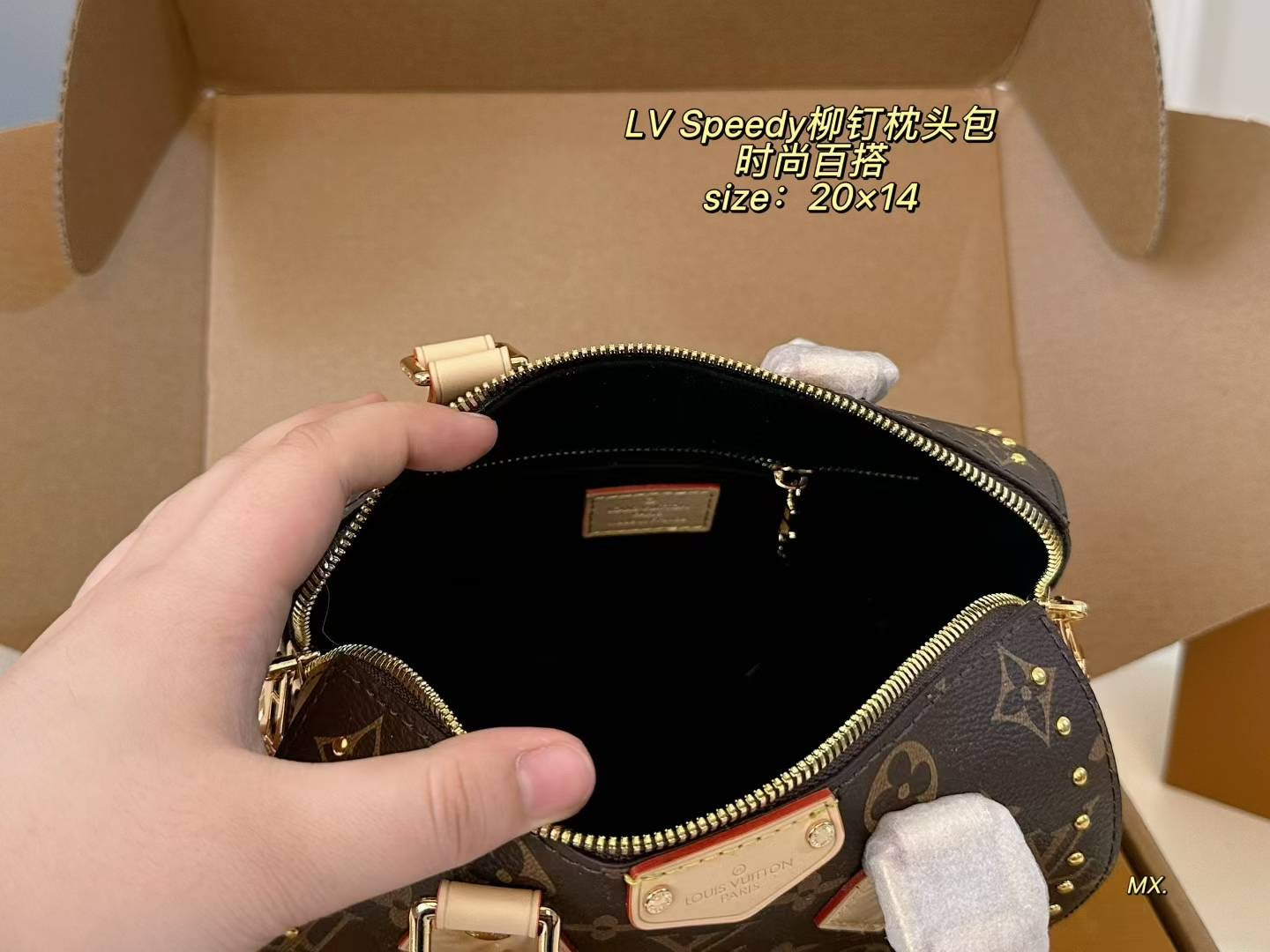 LV 25ss Speedy Studded Pillow Bag