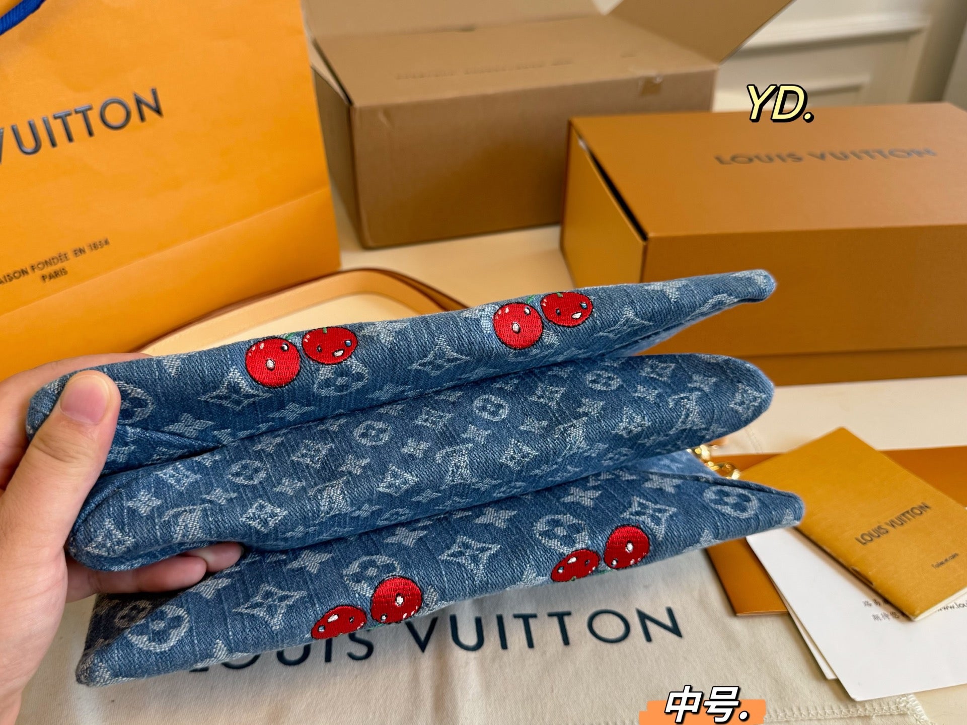 LV Coussin Handbag Pillow Bag