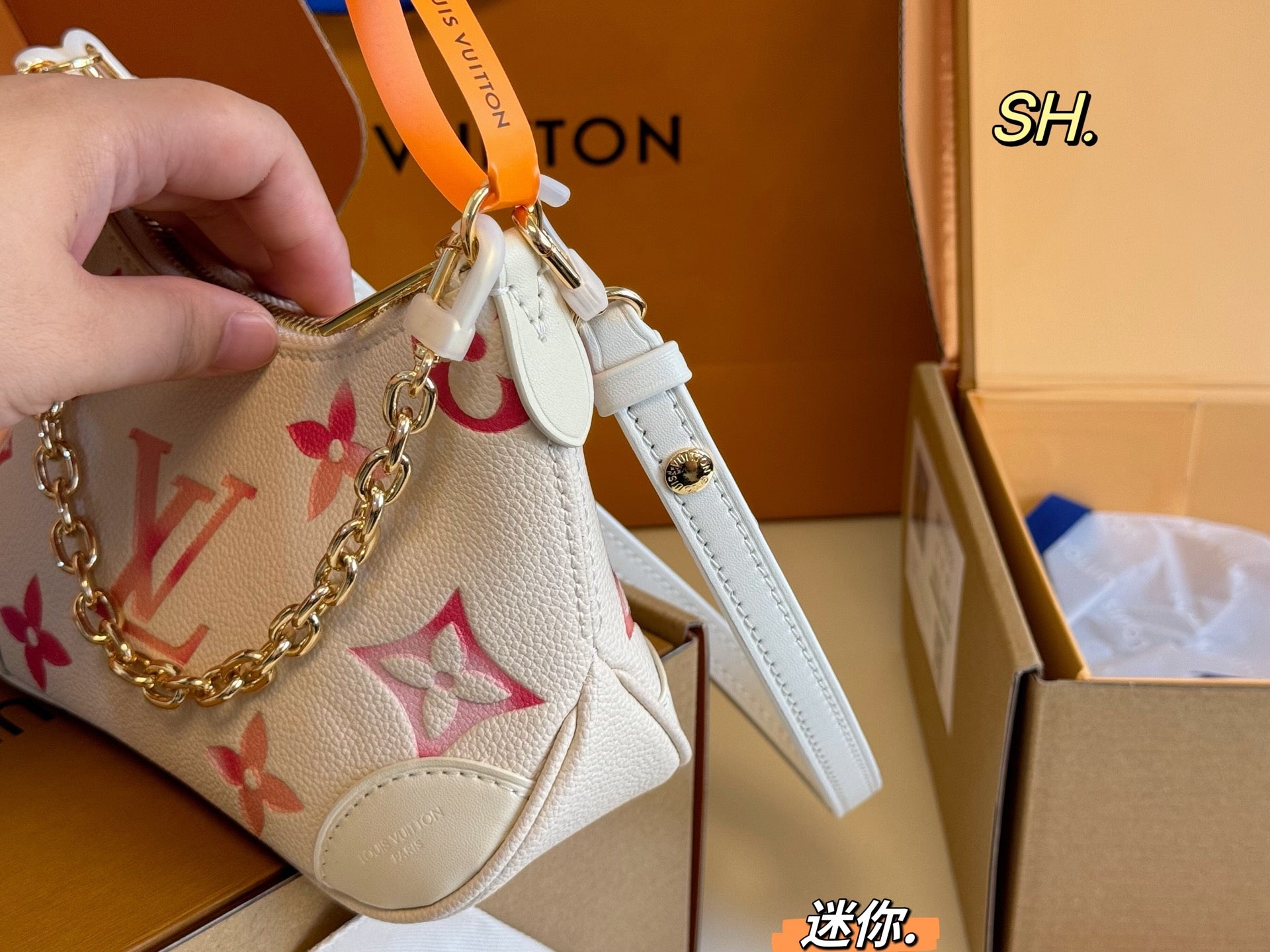 LV Boulogne Mini Embossed Vintage Horn Bag