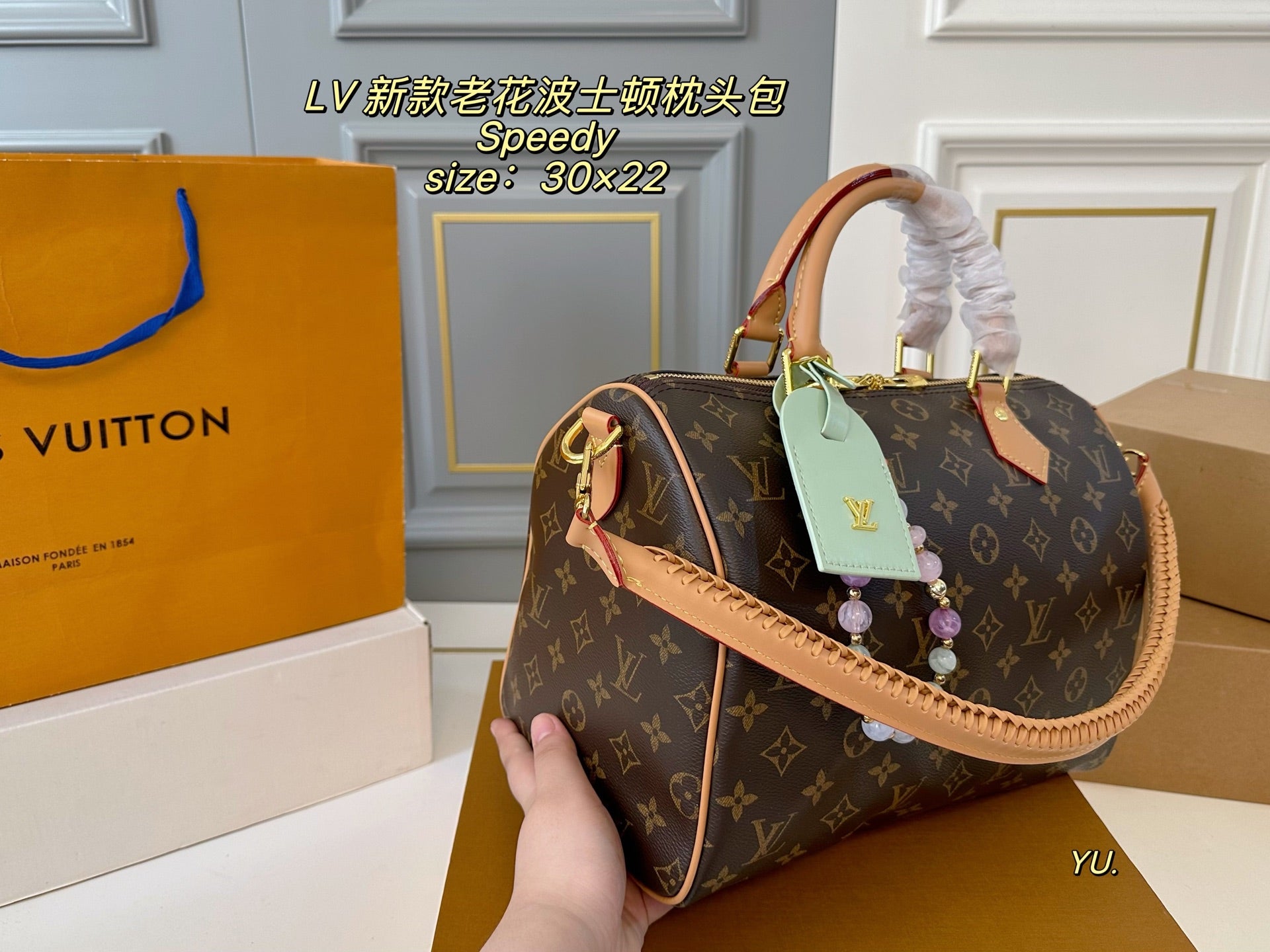 LV Speedy Boston Pillow Bag