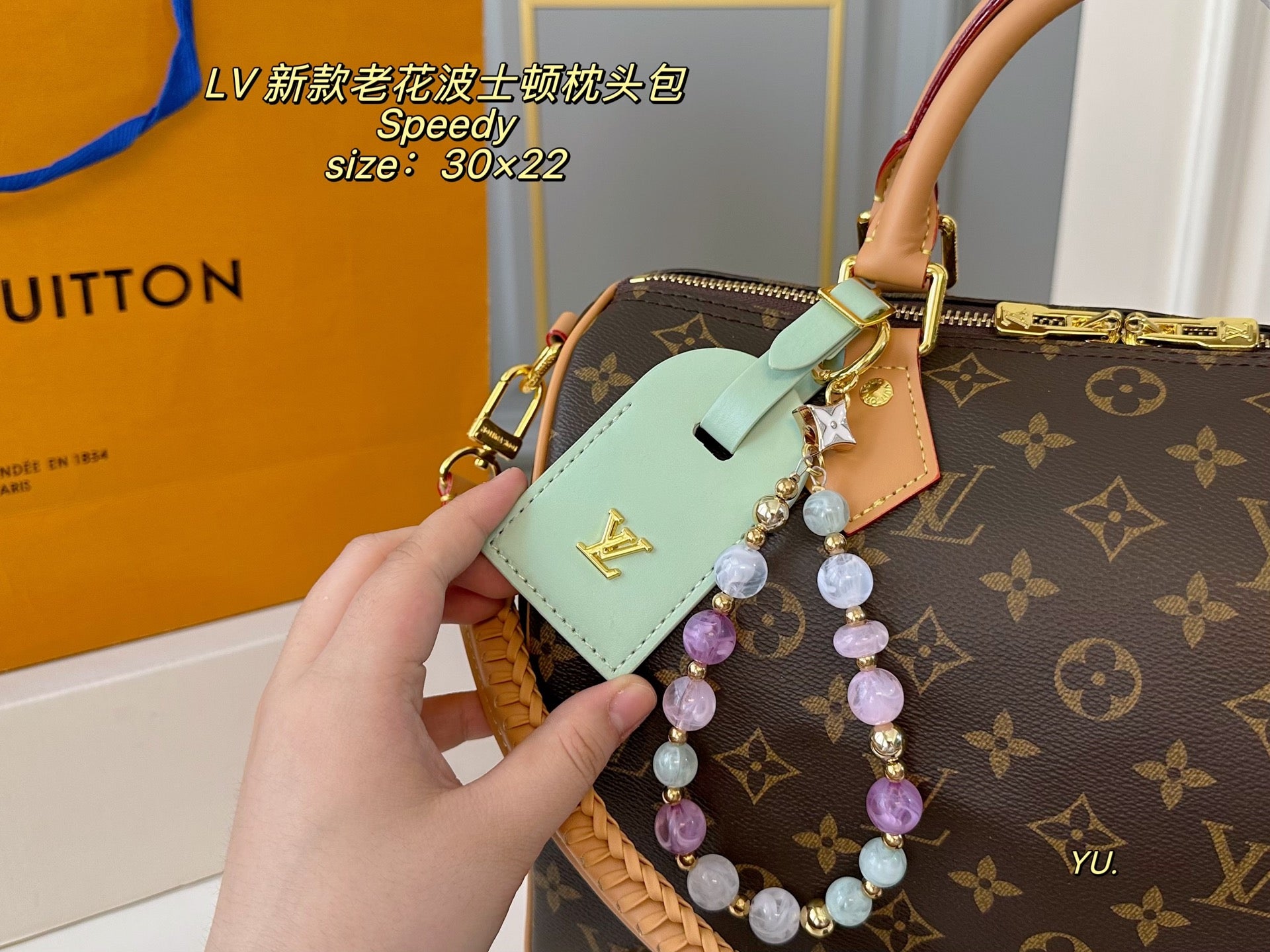 LV Speedy Boston Pillow Bag