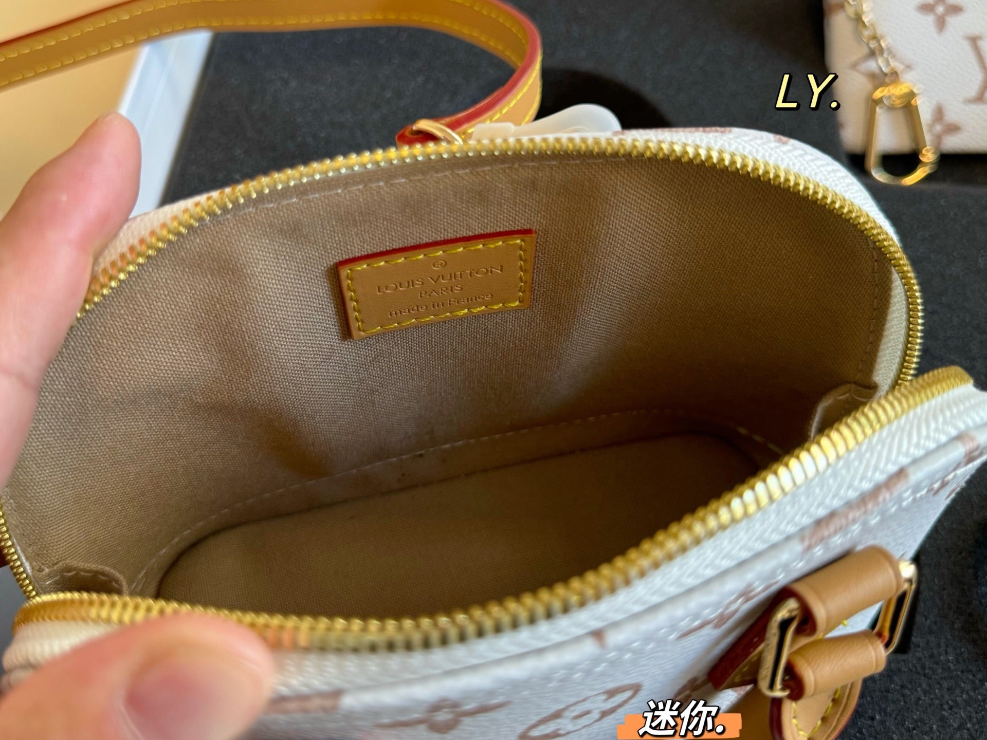 LV nano Alma Shell Bag