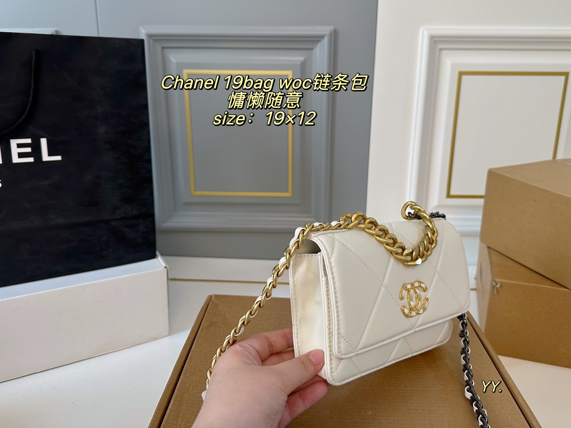 CHANEL 19 woc Chain Bag