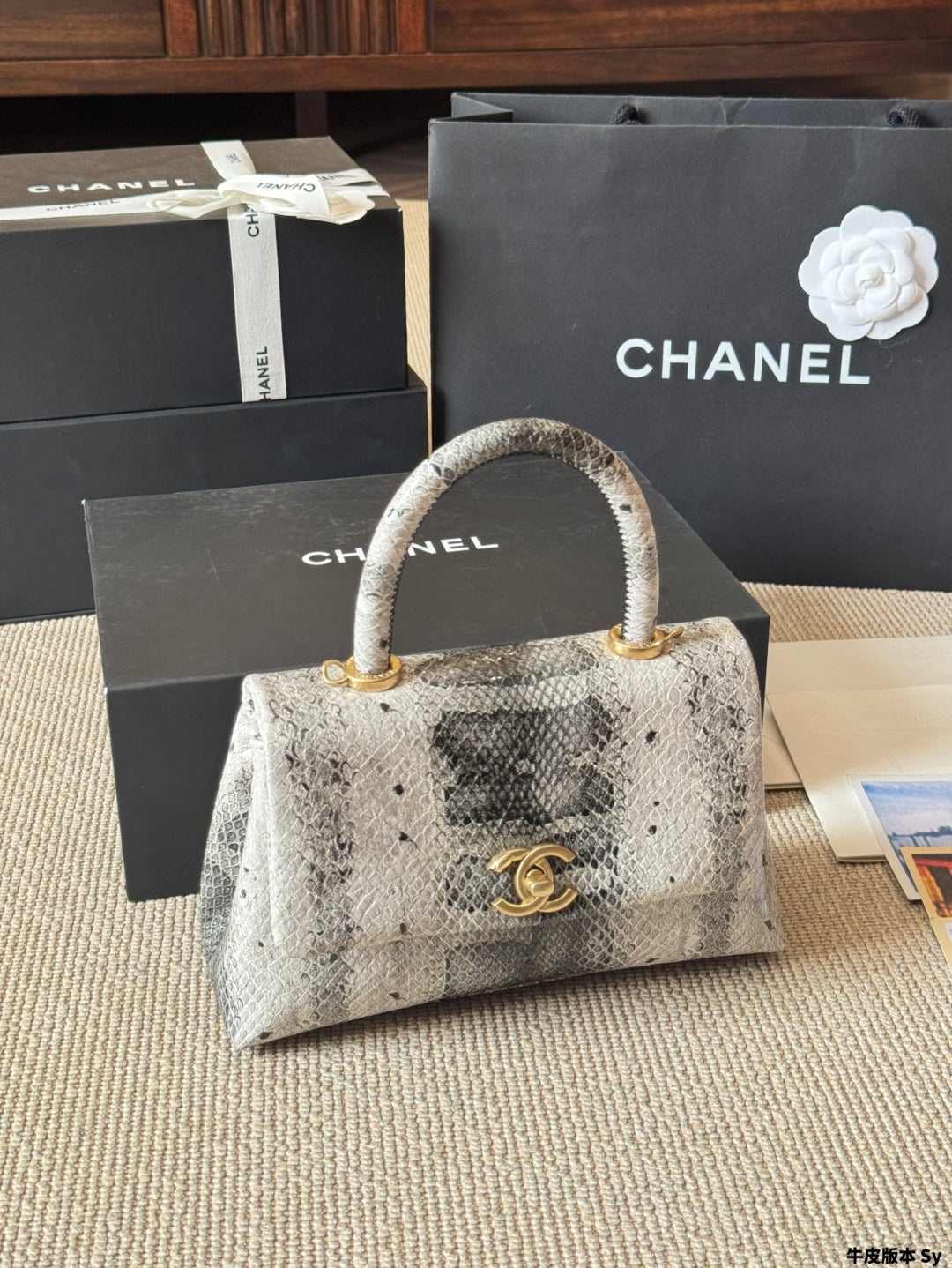 CHANEL Coco Handle