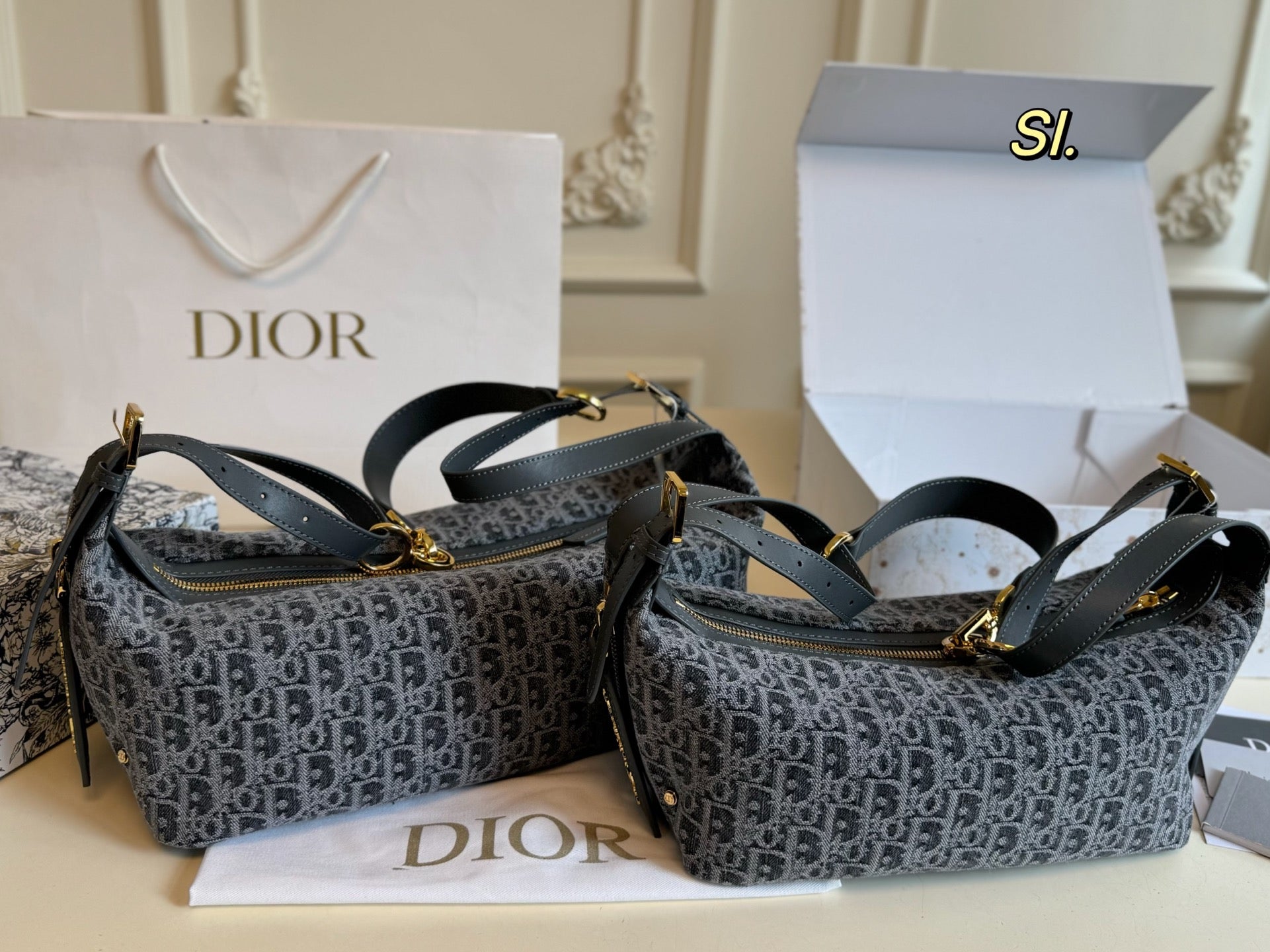 DIOR Journey Bag