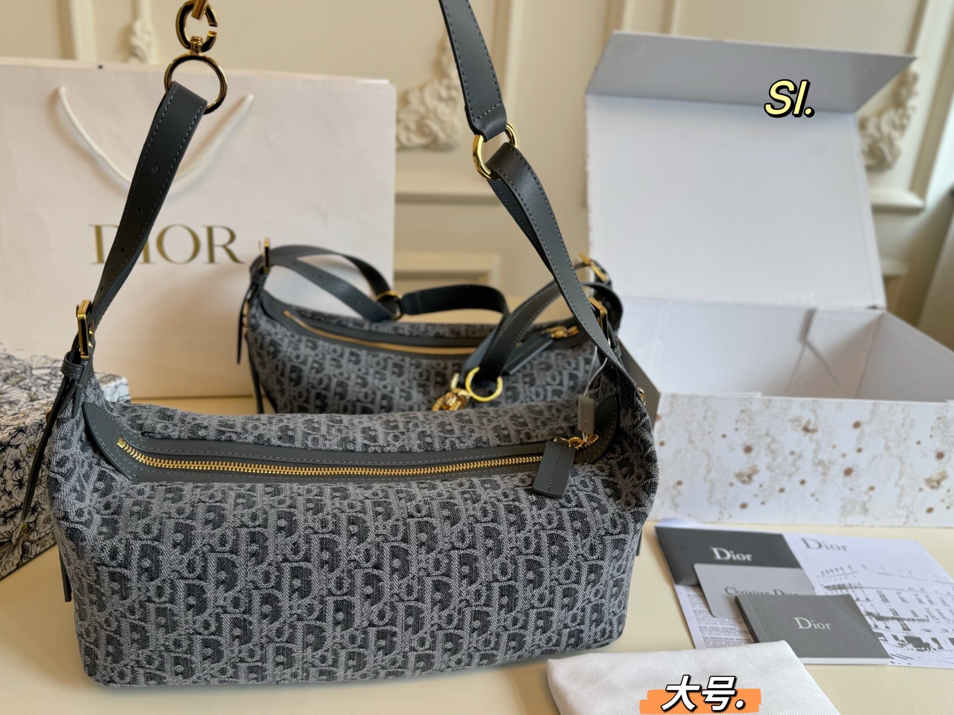 DIOR Journey Bag