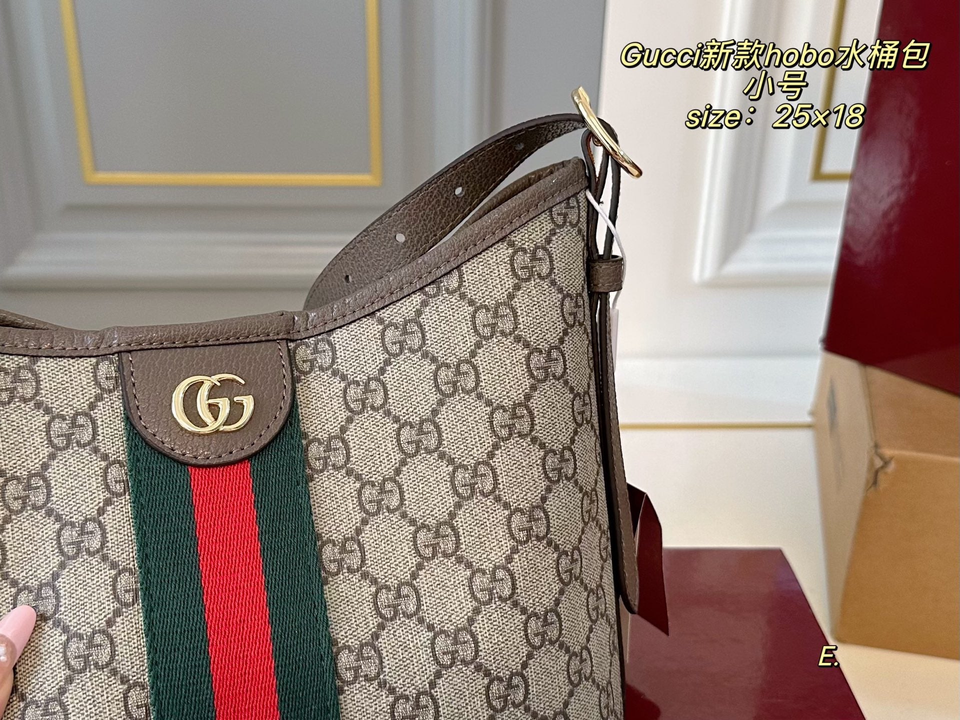 Gucci Hopo Bucket Bag