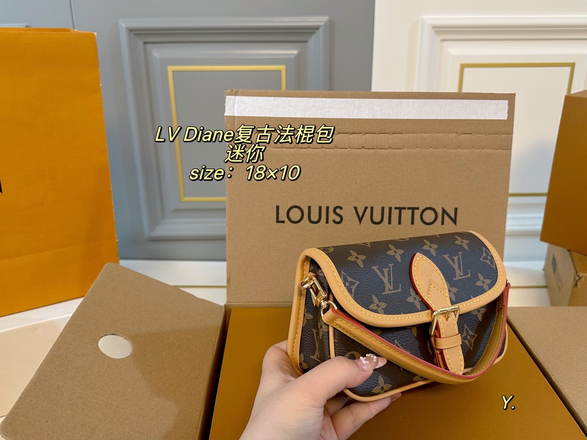 LV Diane mini Vintage baguette bag