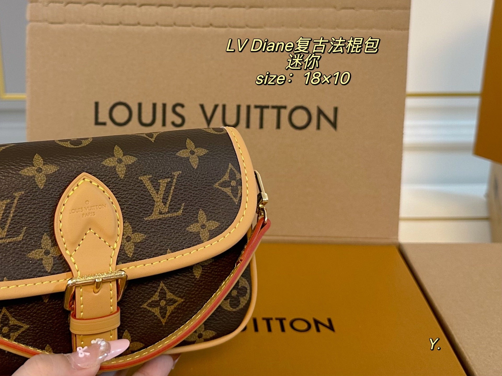 LV Diane mini Vintage baguette bag