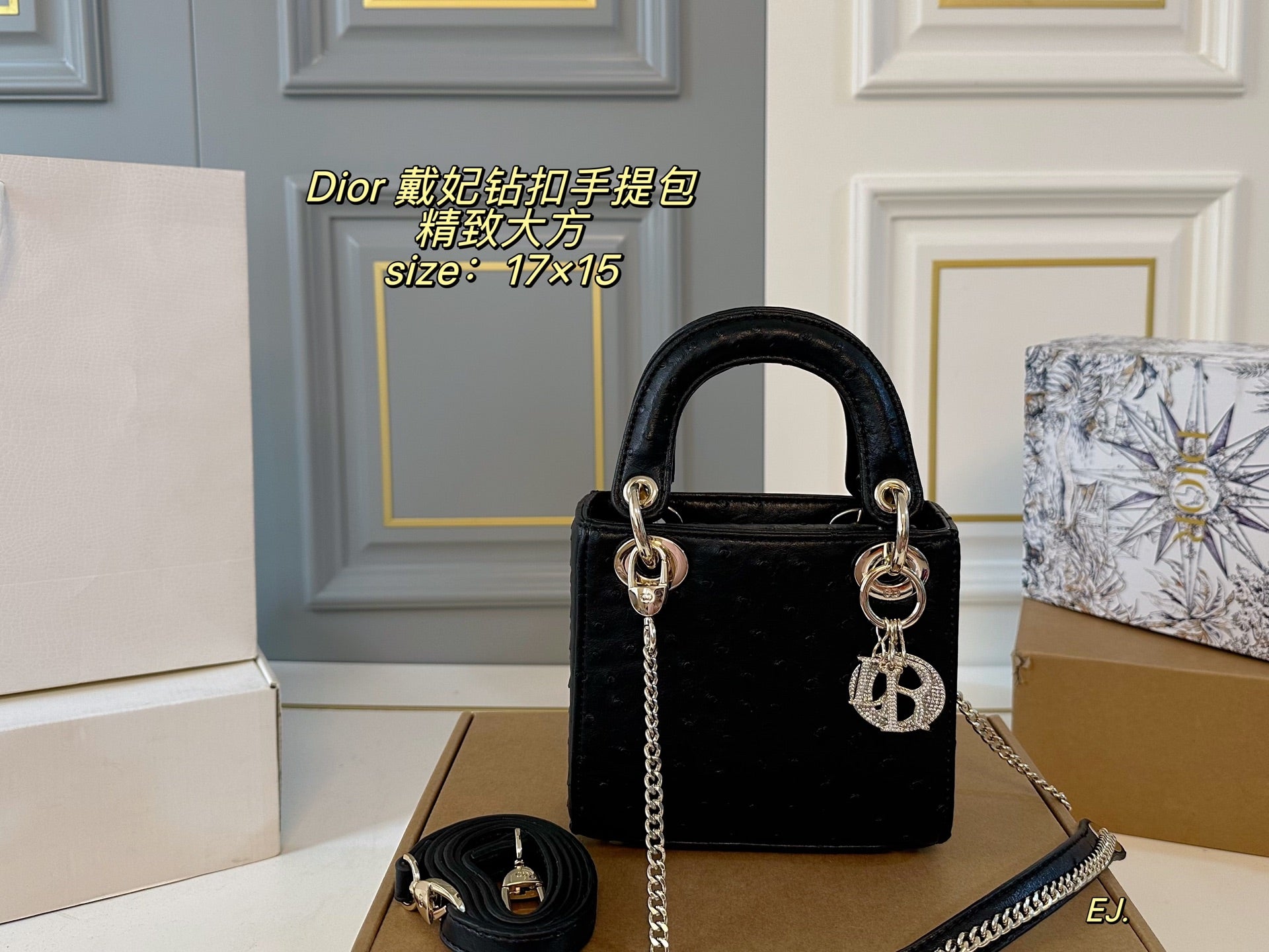 Lady Dior Handbag