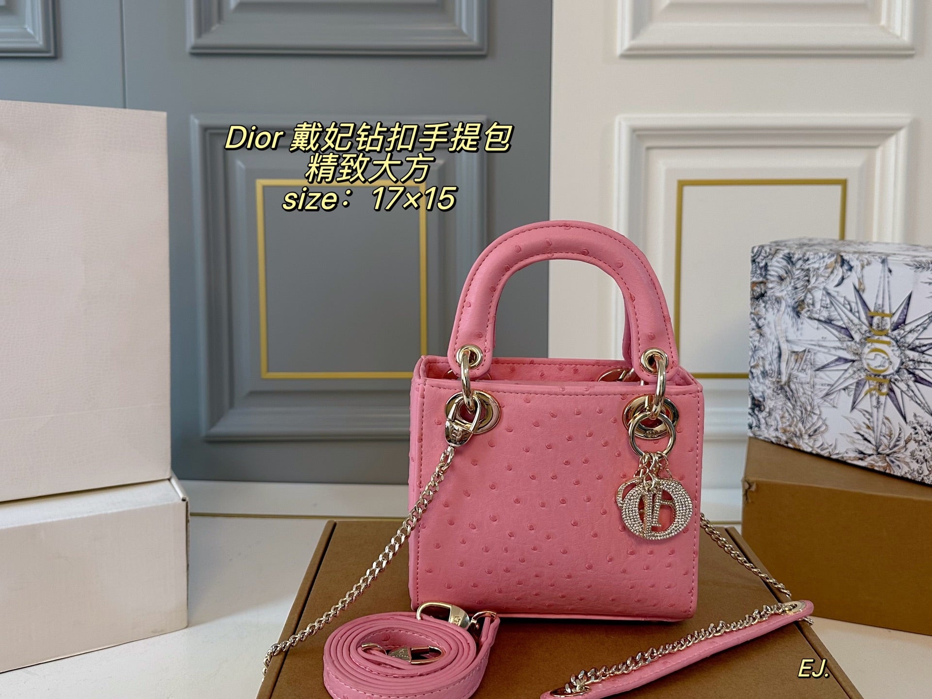 Lady Dior Handbag