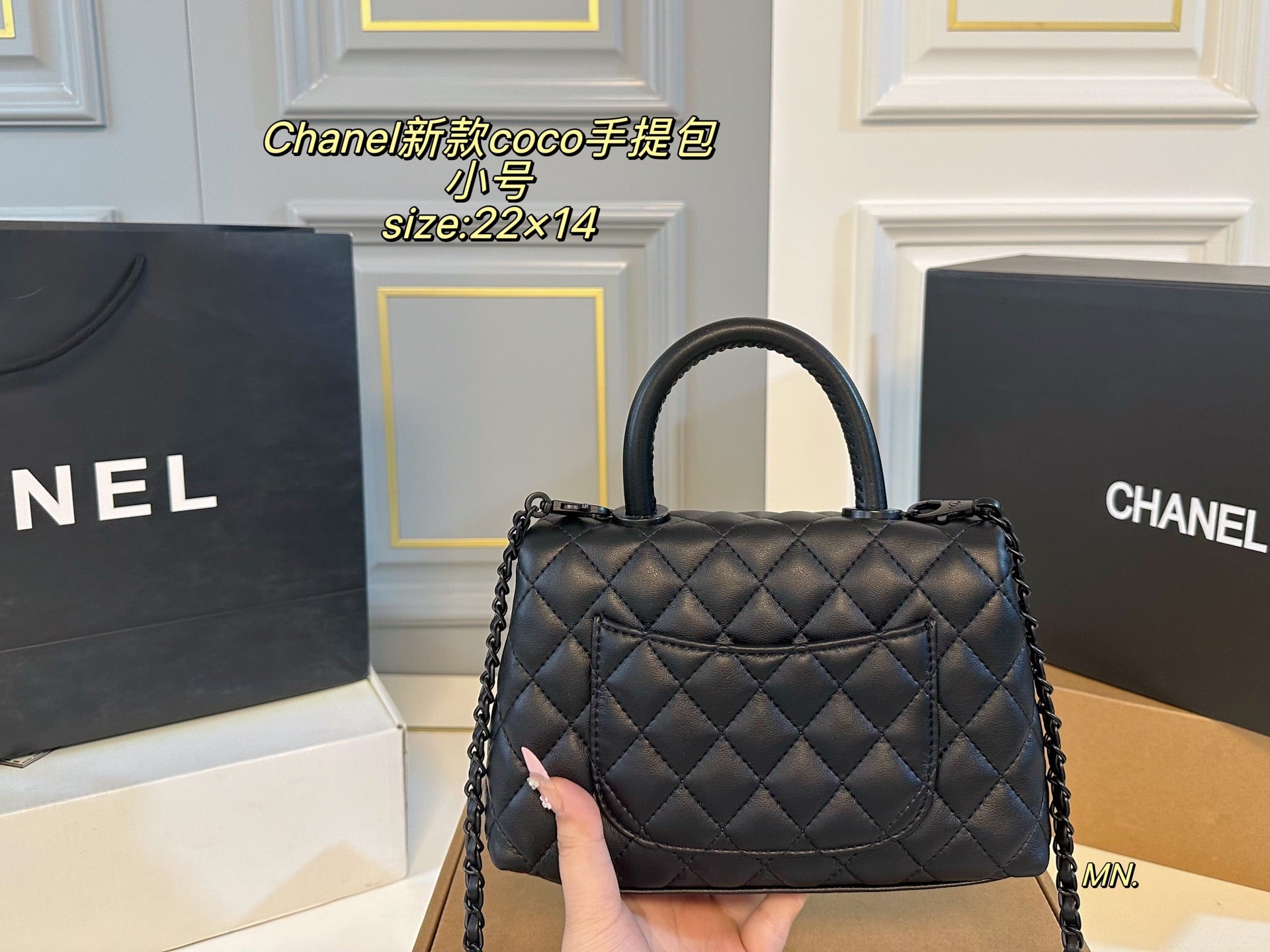 Chanel Coco Handbag