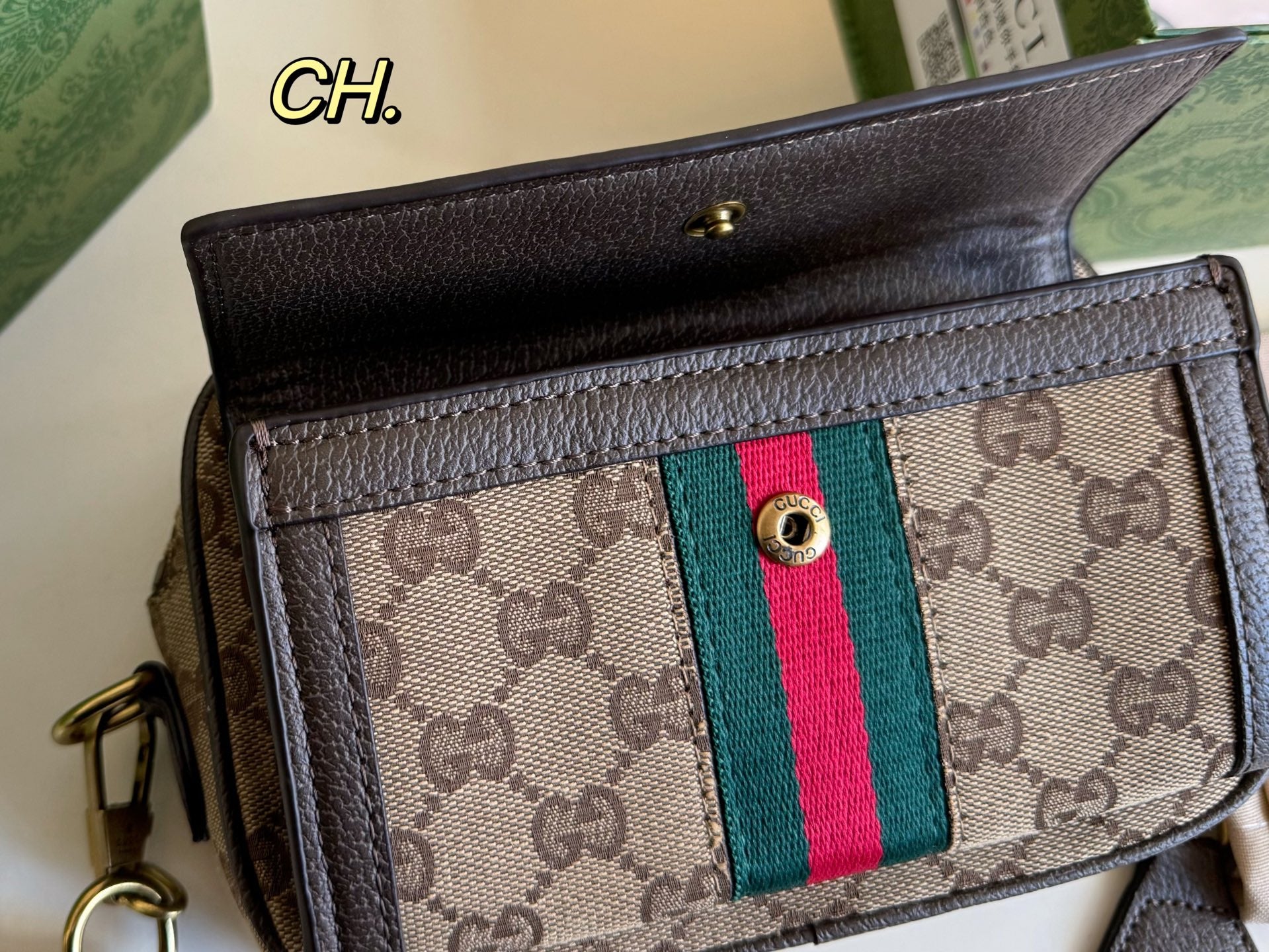 Gucci Ophidia Camera Bag